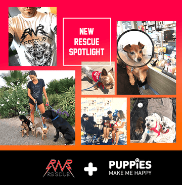 Spotlight Rescue of the Month: Rock and Roll Rescue - Puppies Make Me Happy