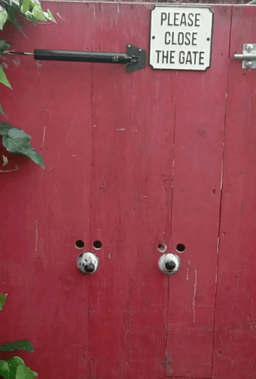 Perfect. - Puppies Make Me Happy