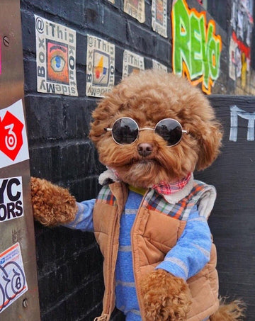 Too Cool For Monday - Puppies Make Me Happy