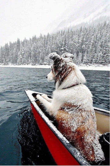 Spring? Where Are You?? - Puppies Make Me Happy