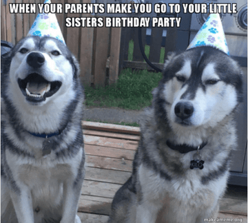 Siblings - Puppies Make Me Happy