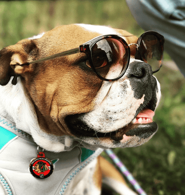 Celebrating the Last Bit of Summer - Puppies Make Me Happy