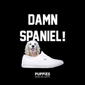Back at it again with the white Vans! - Puppies Make Me Happy