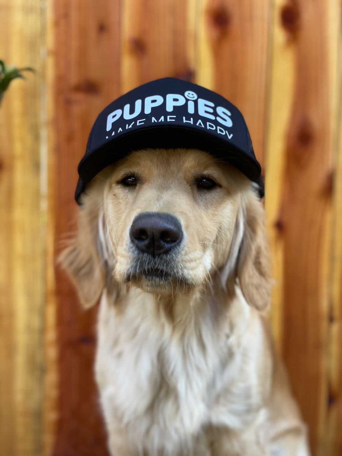 Company Cap | Anniversary Trucker - Puppies Make Me Happy
