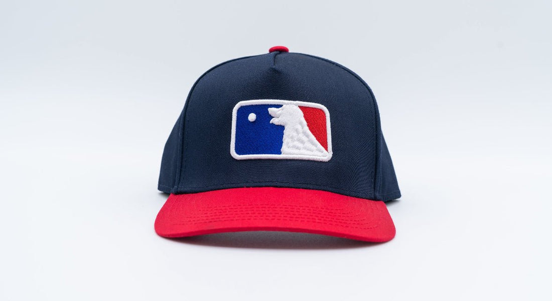 Play Ball Snapback Hat - Puppies Make Me Happy
