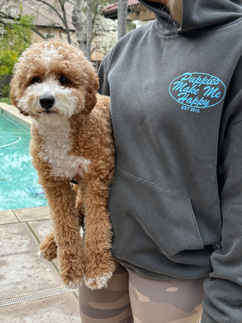 Pet All The Dogs 2.0 | Oversized Uni-Sex Hoodie