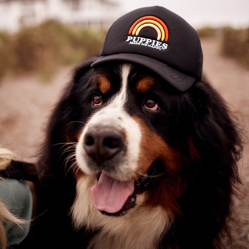 Puppies Rainbow Beach | Foam Trucker Hat - Puppies Make Me Happy
