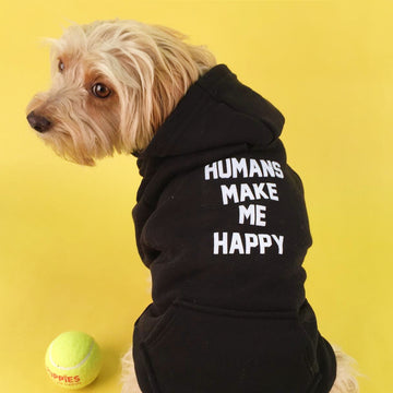 Dog Hoodies Are Back!