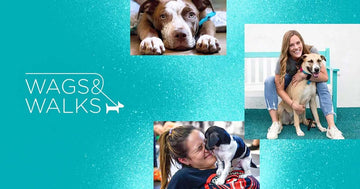 Wags and Walks: Building a Community of Rescue Advocates - Puppies Make Me Happy
