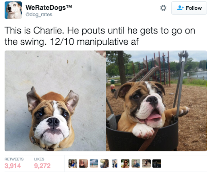 I'm With Charlie