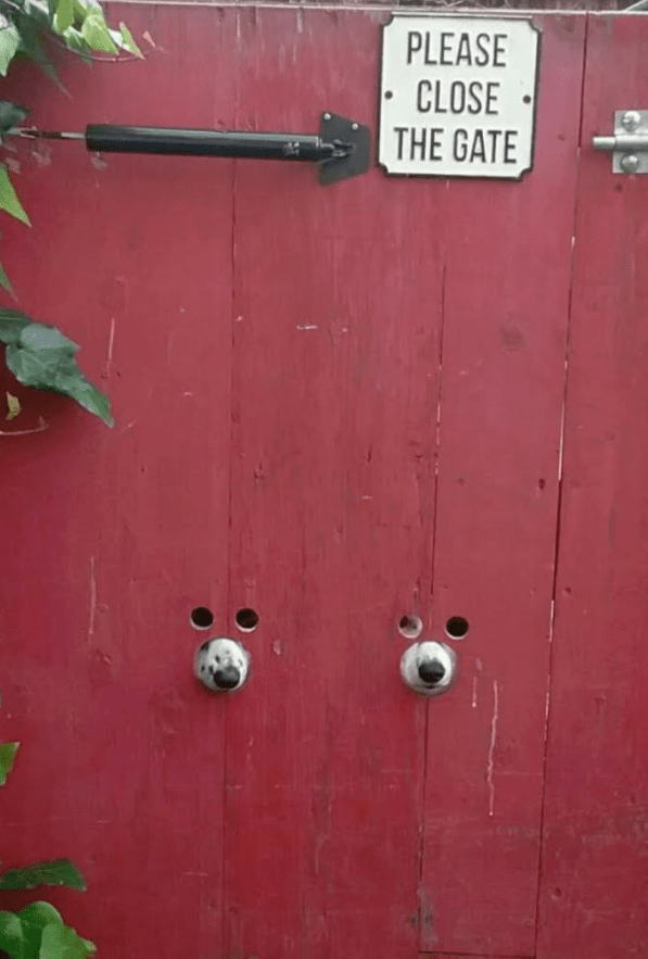 Perfect. - Puppies Make Me Happy