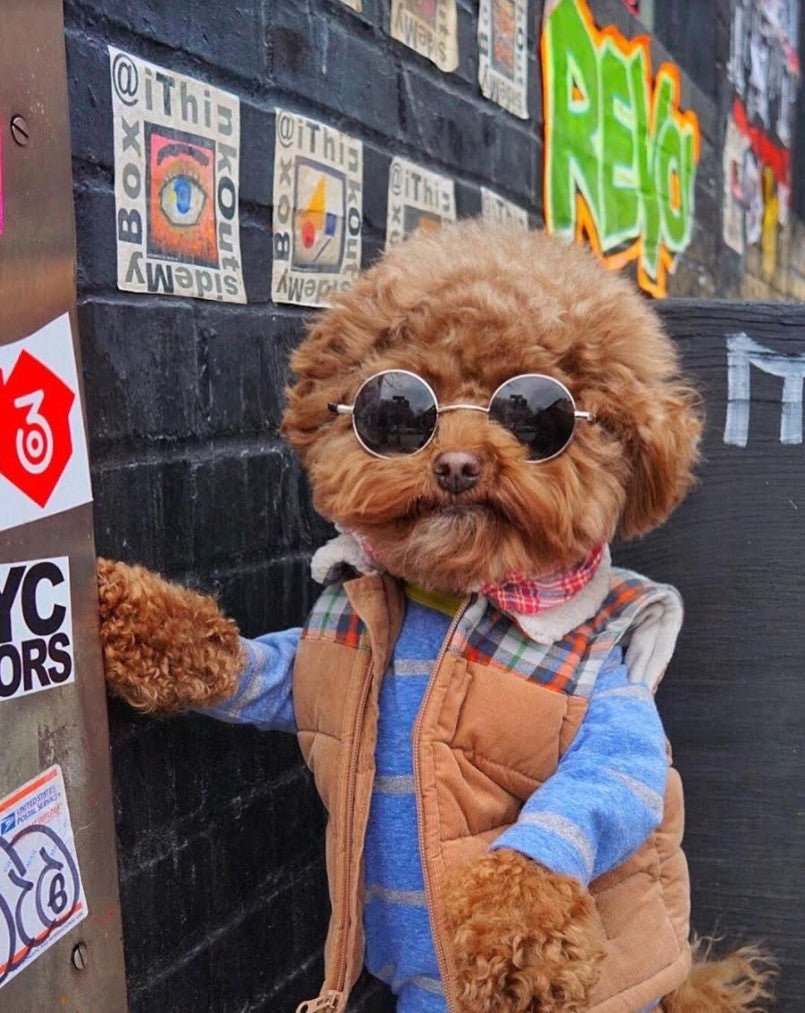 Too Cool For Monday - Puppies Make Me Happy