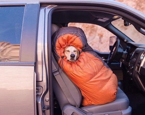 CAMPING GOALS - Puppies Make Me Happy