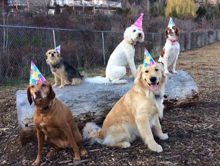 Where's My Invite - Puppies Make Me Happy