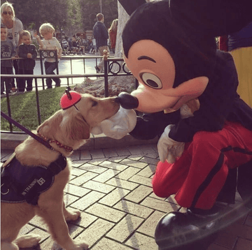Mickey and Friends - Puppies Make Me Happy