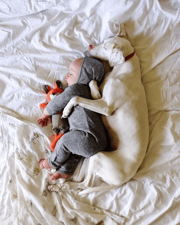 Snuggle Puddle - Puppies Make Me Happy