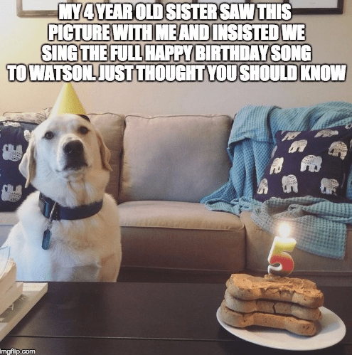Happy Birthday, Watson - Puppies Make Me Happy