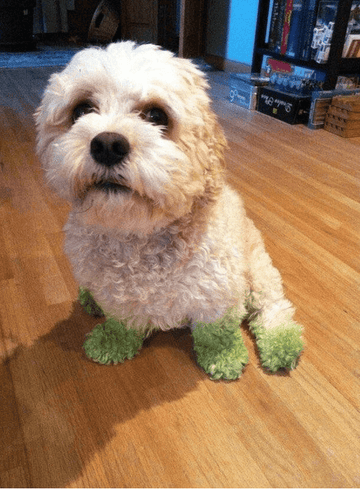 Caught Green Pawed - Puppies Make Me Happy