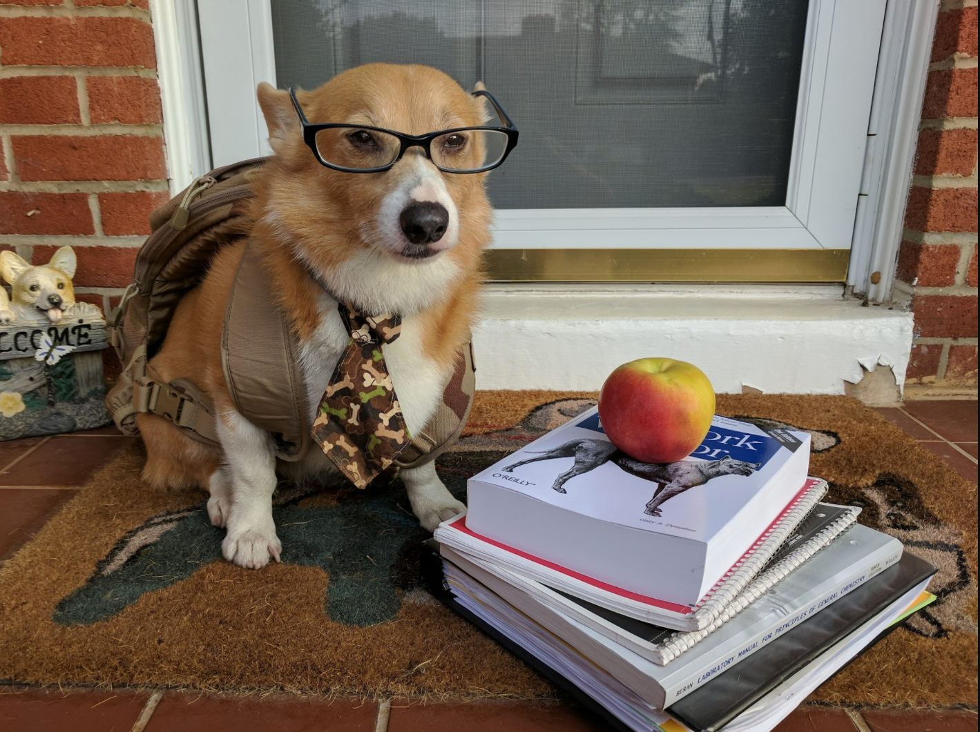 This Pup is Ready for School to Start!
