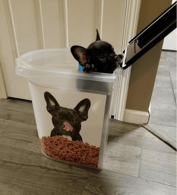 Same Same 1 - Puppies Make Me Happy