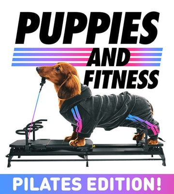 Puppies and Pilates has Arrived. - Puppies Make Me Happy