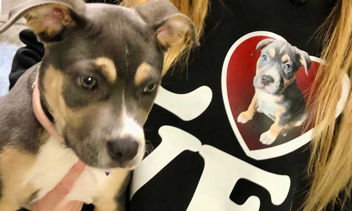 How Do You Design Custom Crop Hoodies With Your Dog's Face?
