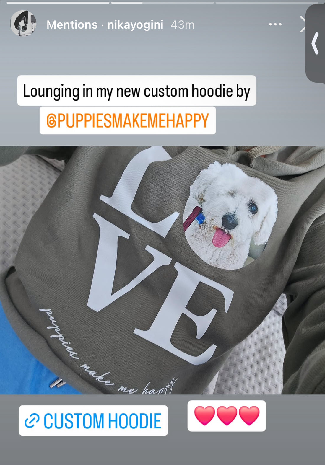 Your Dog Here - True Puppy Love - Crop Top Hoodie - Puppies Make Me Happy