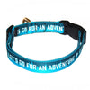 Let's Go for an Adventure | Dog Collar - Puppies Make Me Happy
