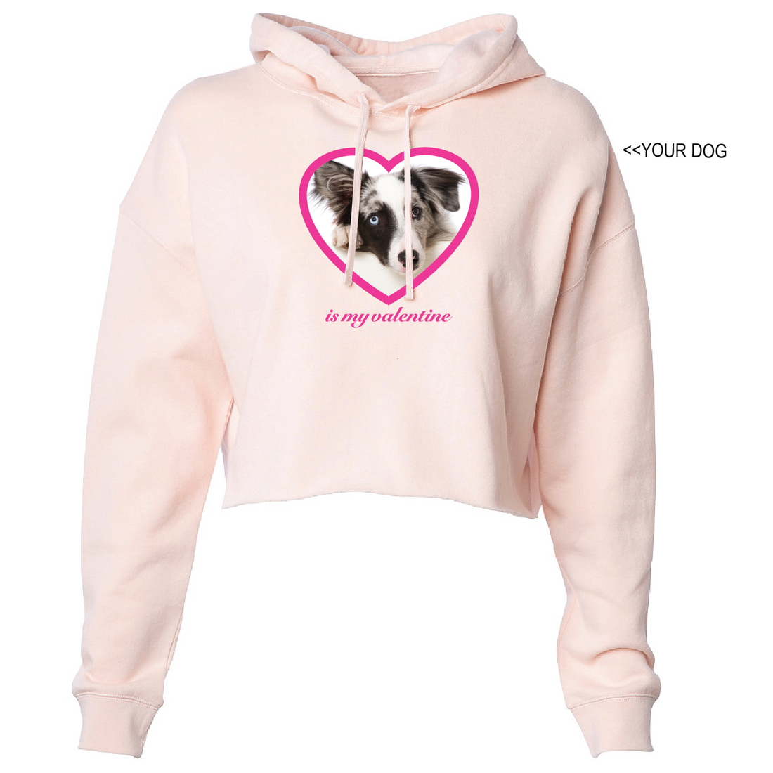 Your Dog Here - Best Valentine - Crop Hoodie